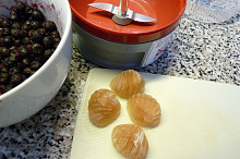 ingredience