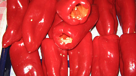 Plněné papriky na zamražení