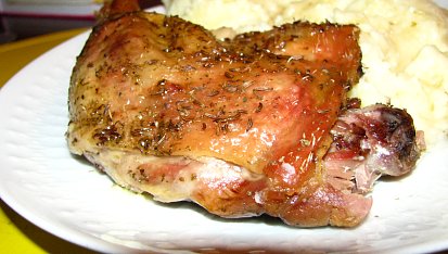 Pomalá kachna