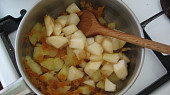 Pro nejmenší - Přesnídávka-jablečné,meruňkové a hruškové pyré