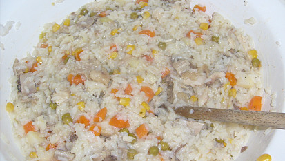 Rizoto ze slepice