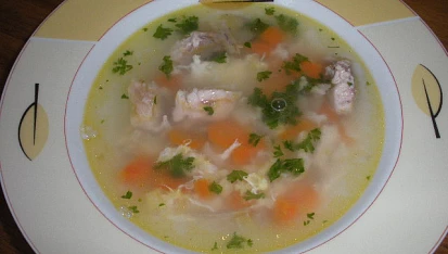 Rybí polévka II.