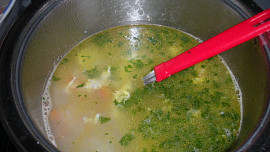 Rybí polévka II.