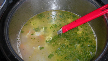 Rybí polévka II.