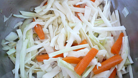 Sójová polévka se zeleninou