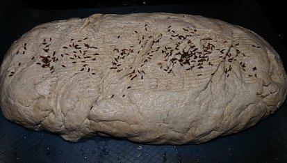 Chléb s pohankou a acidofilním mlékem, před vložením do trouby