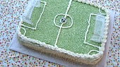 Dort stadion
