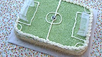 Dort stadion