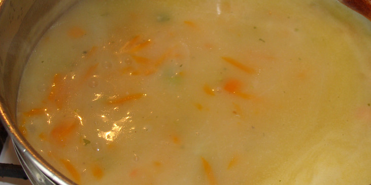Drůbeží přesnídávková polévka (Před přidáním mléka)