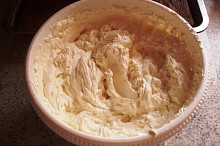 rostlinná šlehačka
