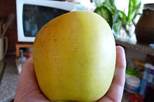 jablko