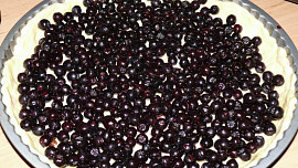 Jeřabinový koláč