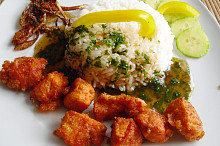 Krůti prsa "Tandoori masala" s petrželovou omáčkou