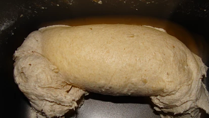 Oblíbený chléb, Těsto po 12min.míchání