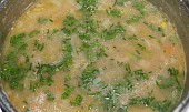 Pórková polévka (okořeníme bylinkami)