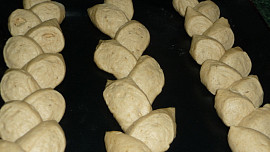 Pšeničné klasy