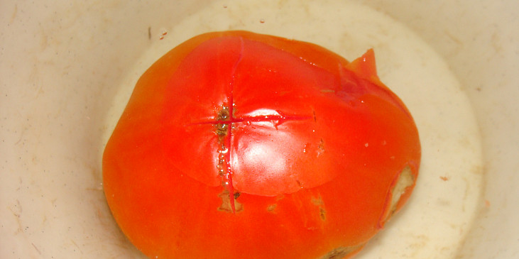 Spaření rajčat