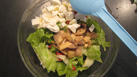 Salát s mozzarellou