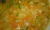 Strouhaná mrkvičková polévka se zázvorem, strouhaná mrkvičková polévka se zázvorem-detail
