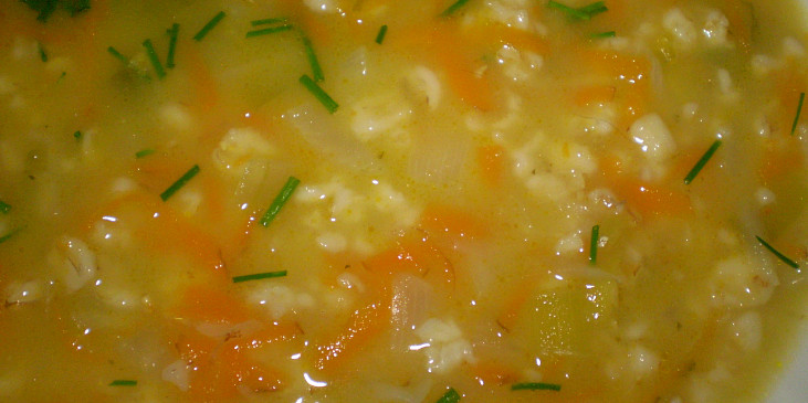 strouhaná mrkvičková polévka se zázvorem-detail