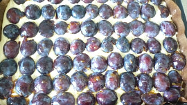 Švestkový koláč s kyselou smetanou