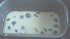 Švestkový koláč z domácí pekárny