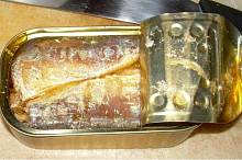 sardinky