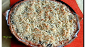 Tvarohový mrežovník