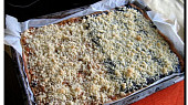 Tvarohový mrežovník