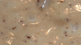 Vařený sýr z tvarůžek