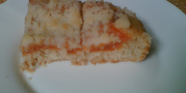 koláč s meruňkovým pudinkem