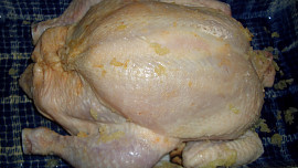 Loštické kuře