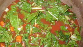 Mangoldová polévka