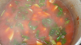 Mangoldová polévka