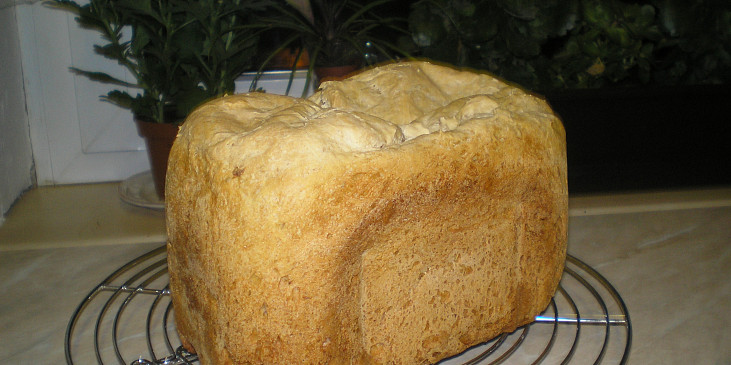 Pivní (základní) chleba pro Václava (PRVNÍ - A)