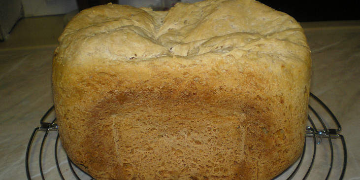 Pivní (základní) chleba pro Václava (PRVNÍ - B)