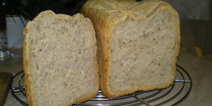Pivní (základní) chleba pro Václava (PRVNÍ - C)