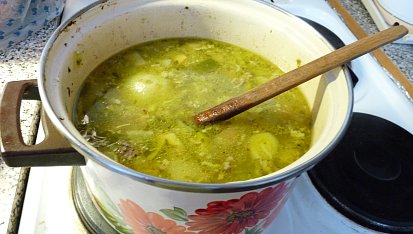 Polévkou z drůbežího masa  proti nachlazení a chřipce, Před dokončením