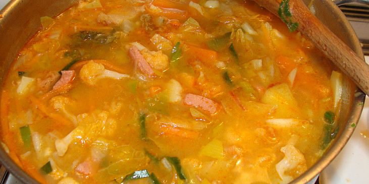 Zeleninová polévka  -  sytá (Hotová polévka)
