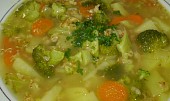 Brokolicovo-ovesná polévka (Brokolicovo-ovesná polévka)