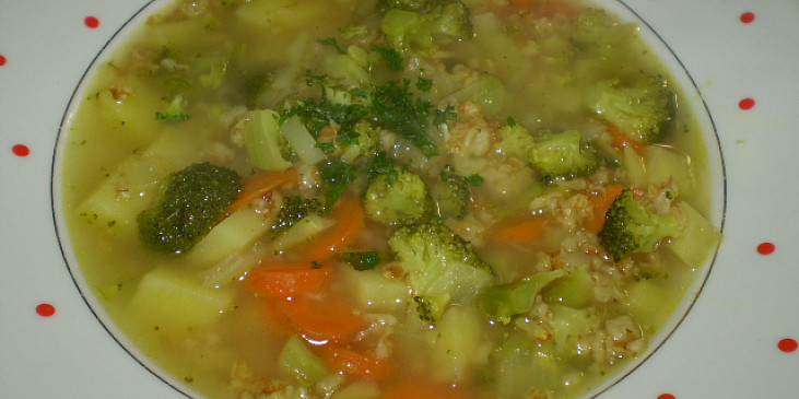 Brokolicovo-ovesná polévka