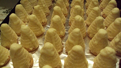 Kokosová vosí hnízda