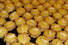 Schnutí