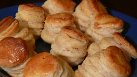 Škvarkovníky
