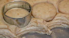 Škvarkovníky