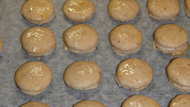 Škvarkovníky