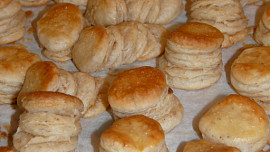 Škvarkovníky