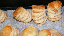 Škvarkovníky