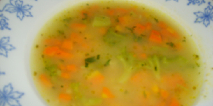 Vydatná mrkvová polévka s vločkami - i pro nejmenší
