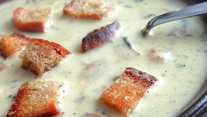 Žampionová krémová polévka